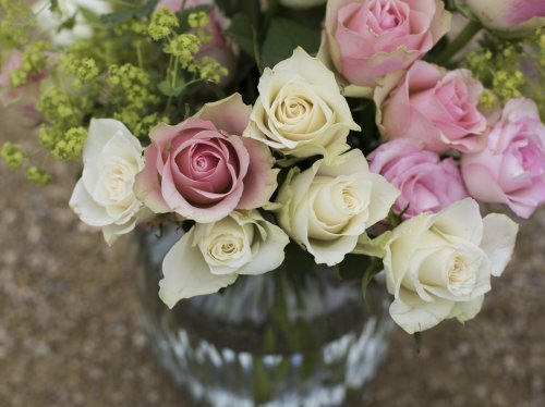 Pink & White Roses in a Vase  Wallpaper
