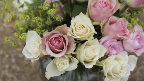 Pink & White Roses in a Vase HD Desktop Wallpaper