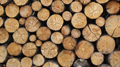 Wooden Logs Texture Wallpaper