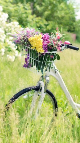 Romantic Bicycle in Meadow Mobile Wallpaper