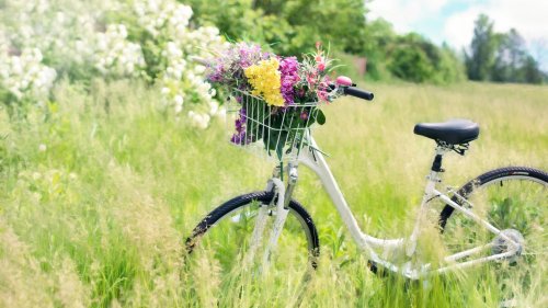 Romantic Bicycle in Meadow Wallpaper