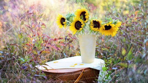 Romantic Picnic Basket & Sunflowers HD Desktop Wallpaper
