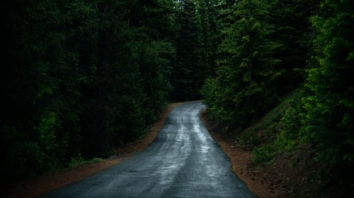 Road Through Forest HD Desktop Wallpaper