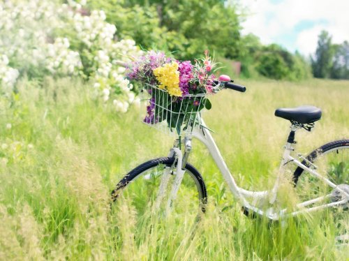 Romantic Bicycle in Meadow  Wallpaper