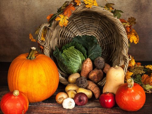 Fall Harvest  Wallpaper