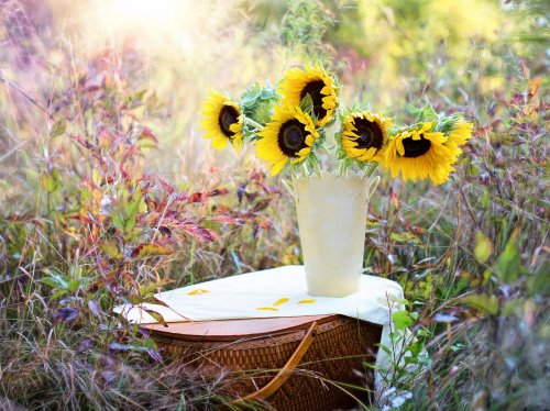 Romantic Picnic Basket & Sunflowers