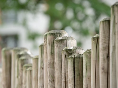 Wood Fence  Wallpaper